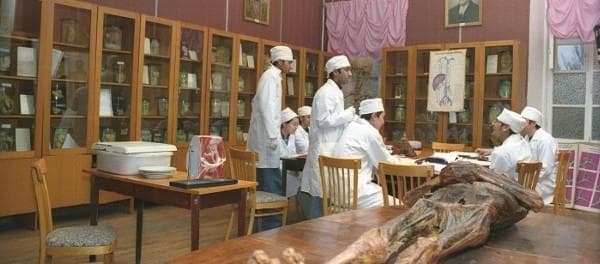 Lab